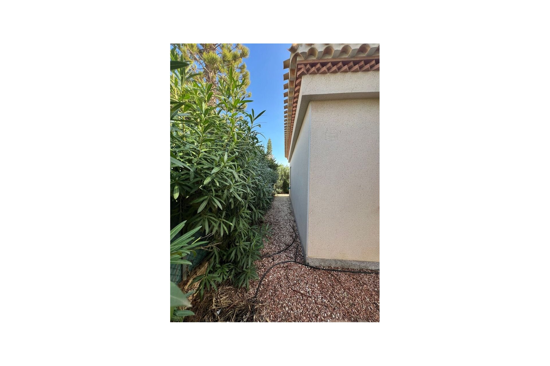 Revente - Villa -
Playa Flamenca