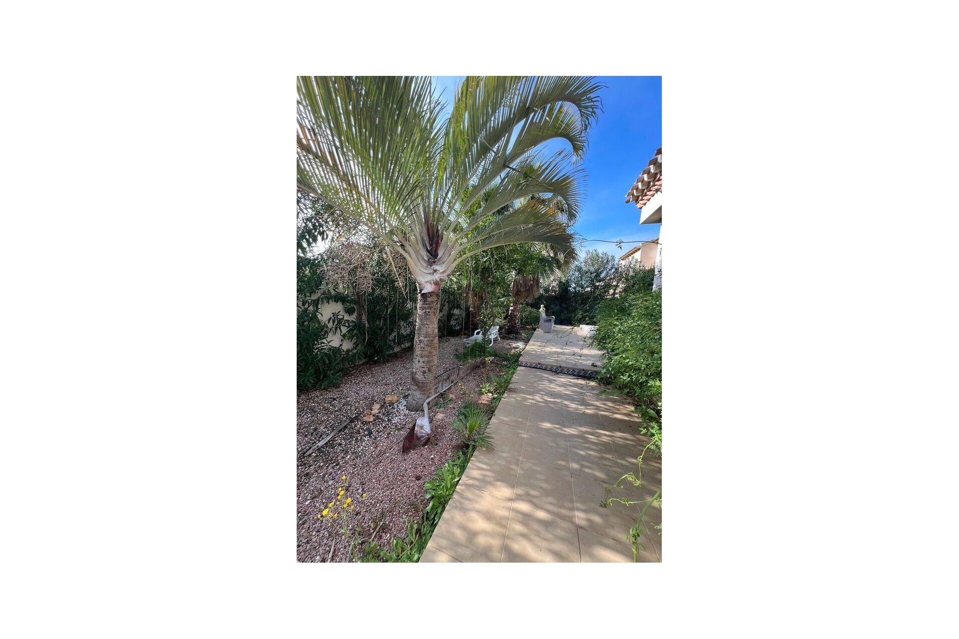 Revente - Villa -
Playa Flamenca