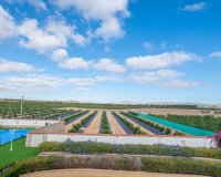 Revente - Villa -
San Miguel de Salinas - Inland