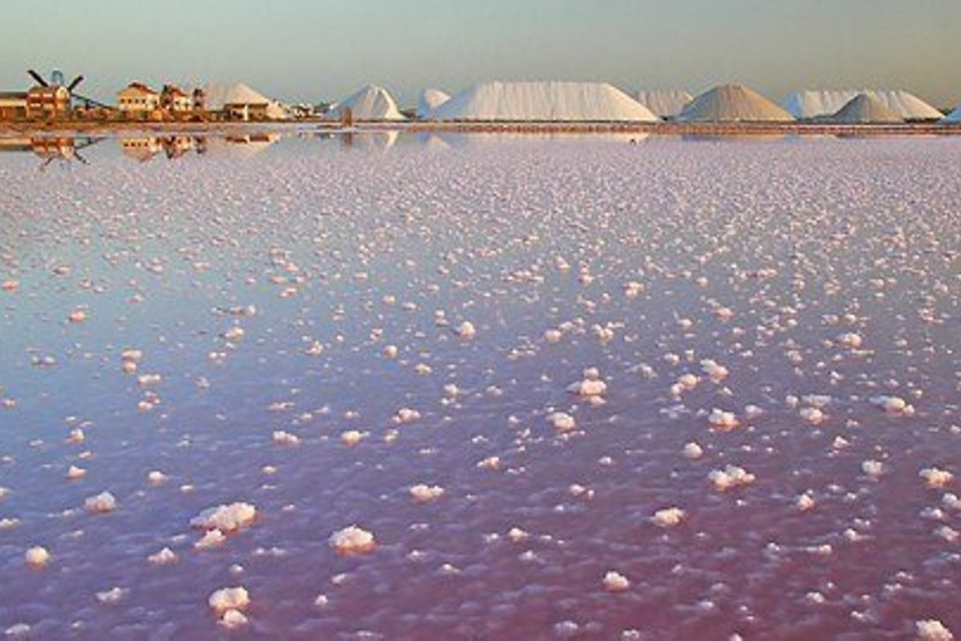 Revente - Villa -
Torre de la Horadada - Costa Blanca