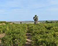 Revente - Villa -
Torremendo - Costa Blanca