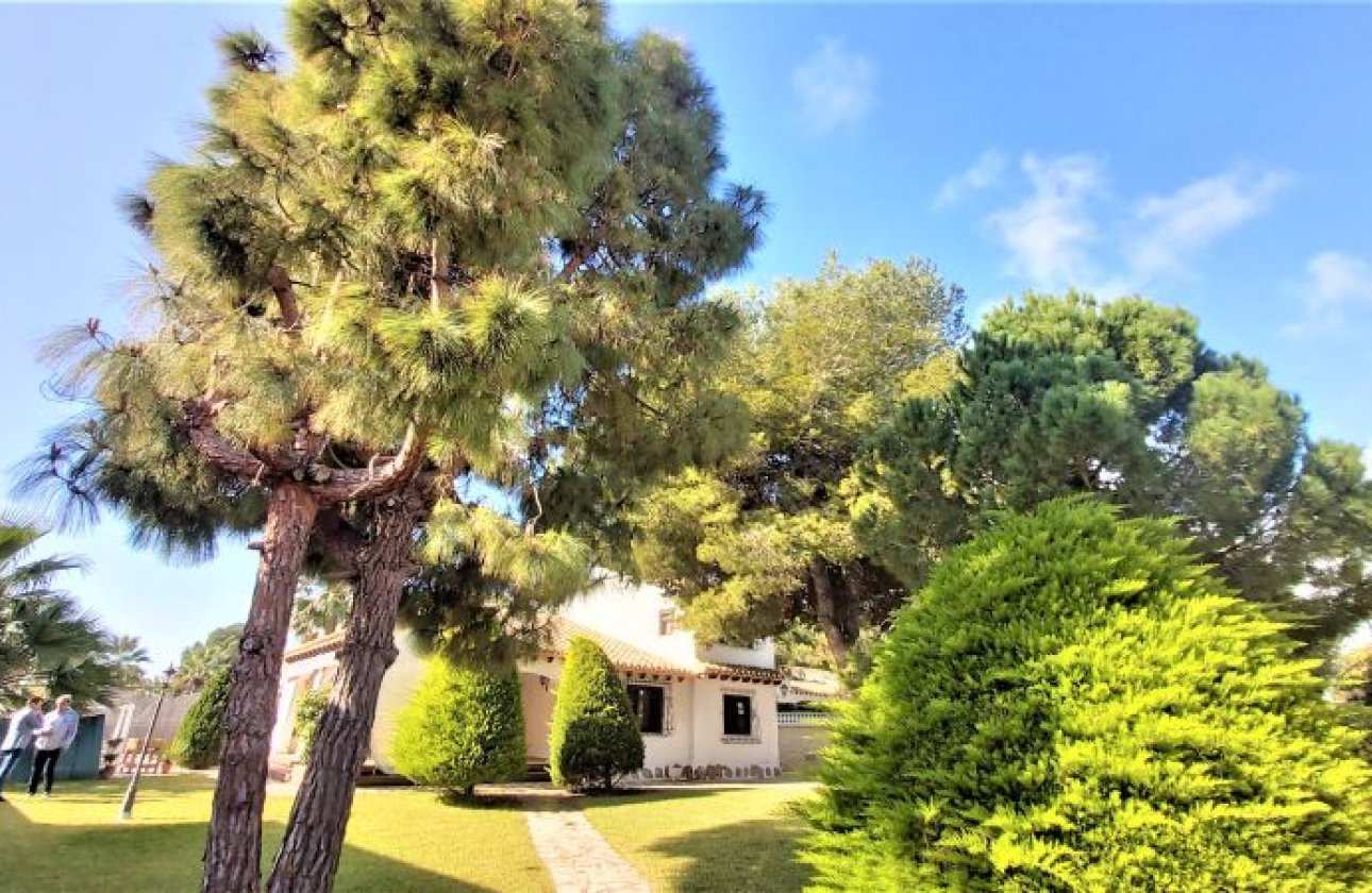 Revente - Villa -
Torrevieja - Costa Blanca