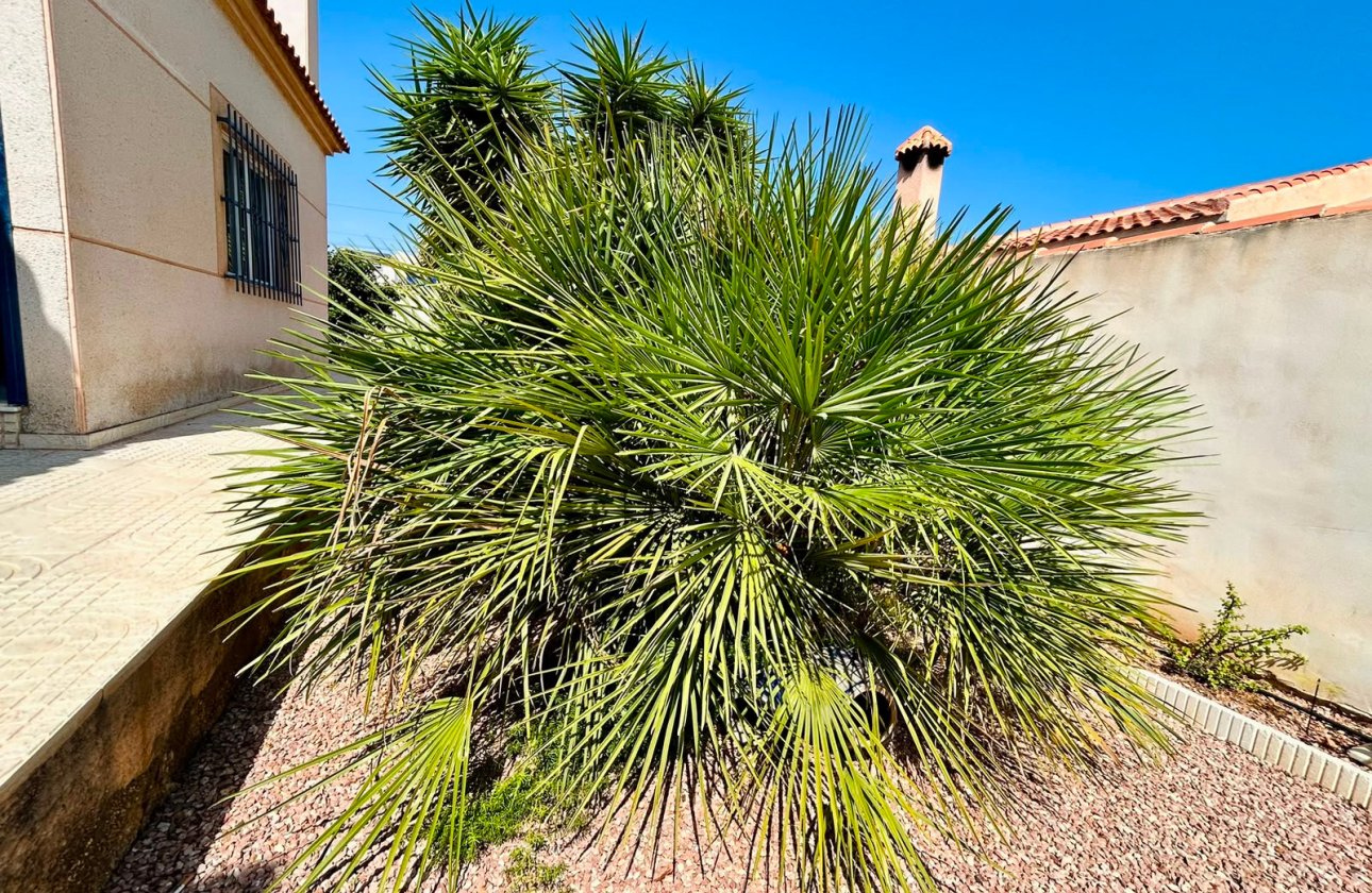 Revente - Villa -
Torrevieja - Costa Blanca