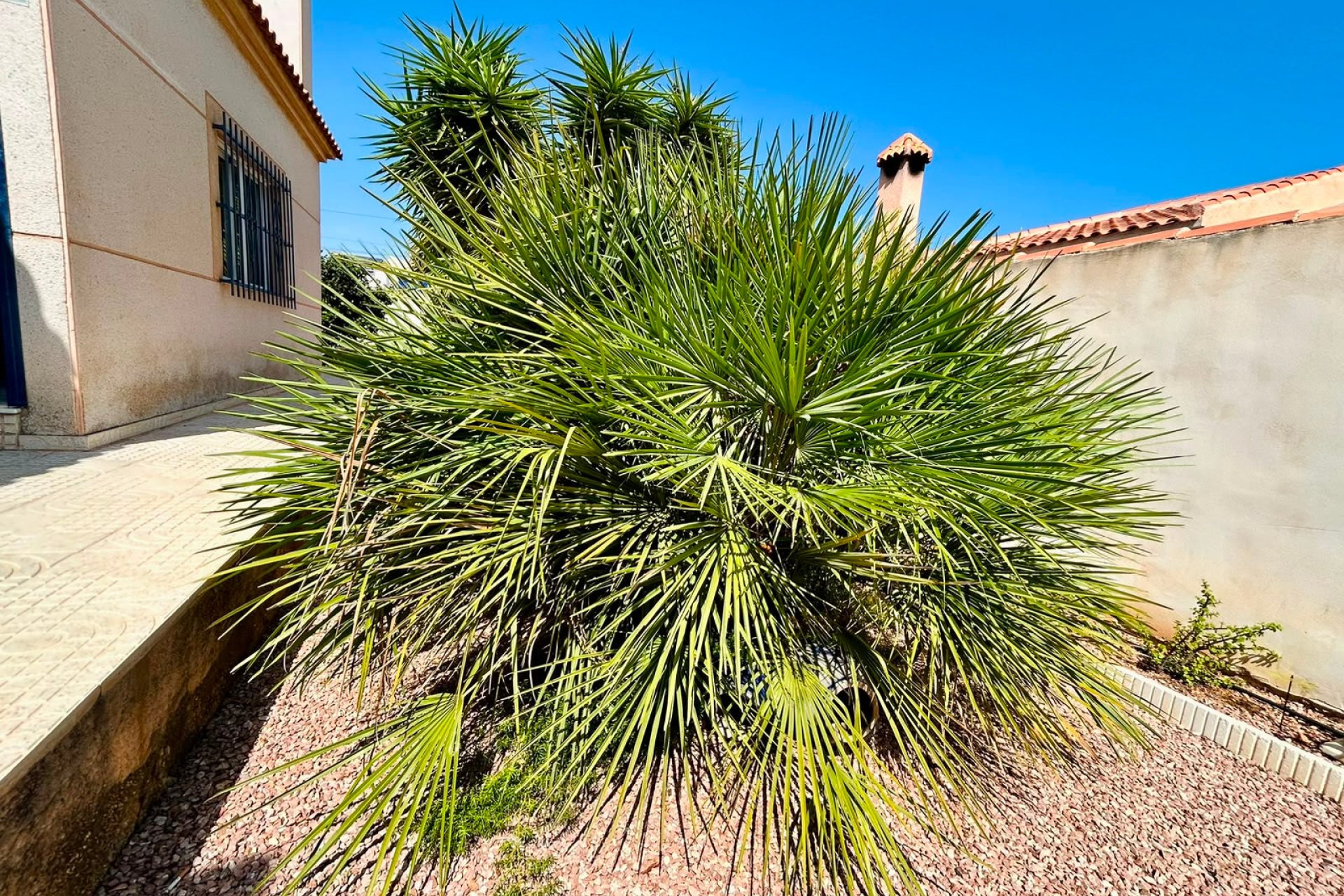 Revente - Villa -
Torrevieja - Costa Blanca