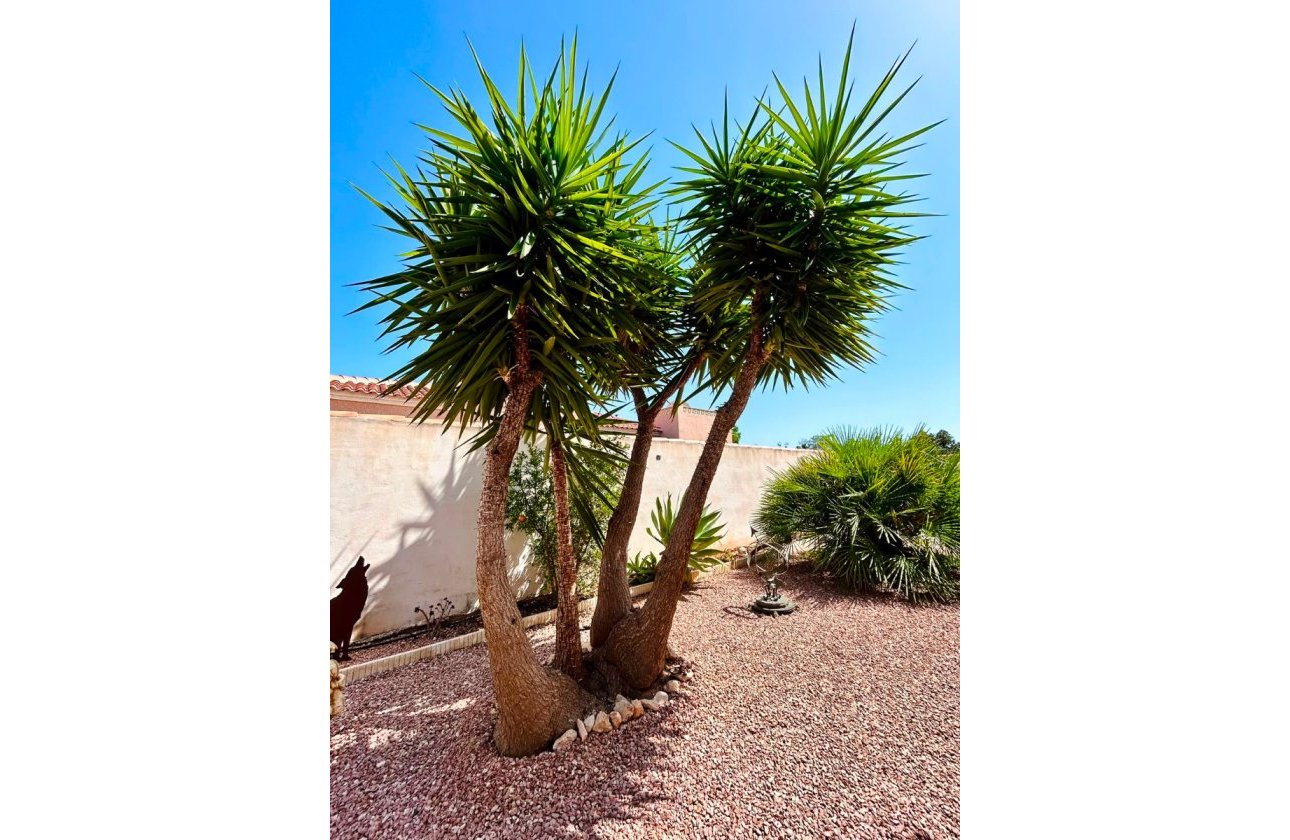 Revente - Villa -
Torrevieja - Costa Blanca