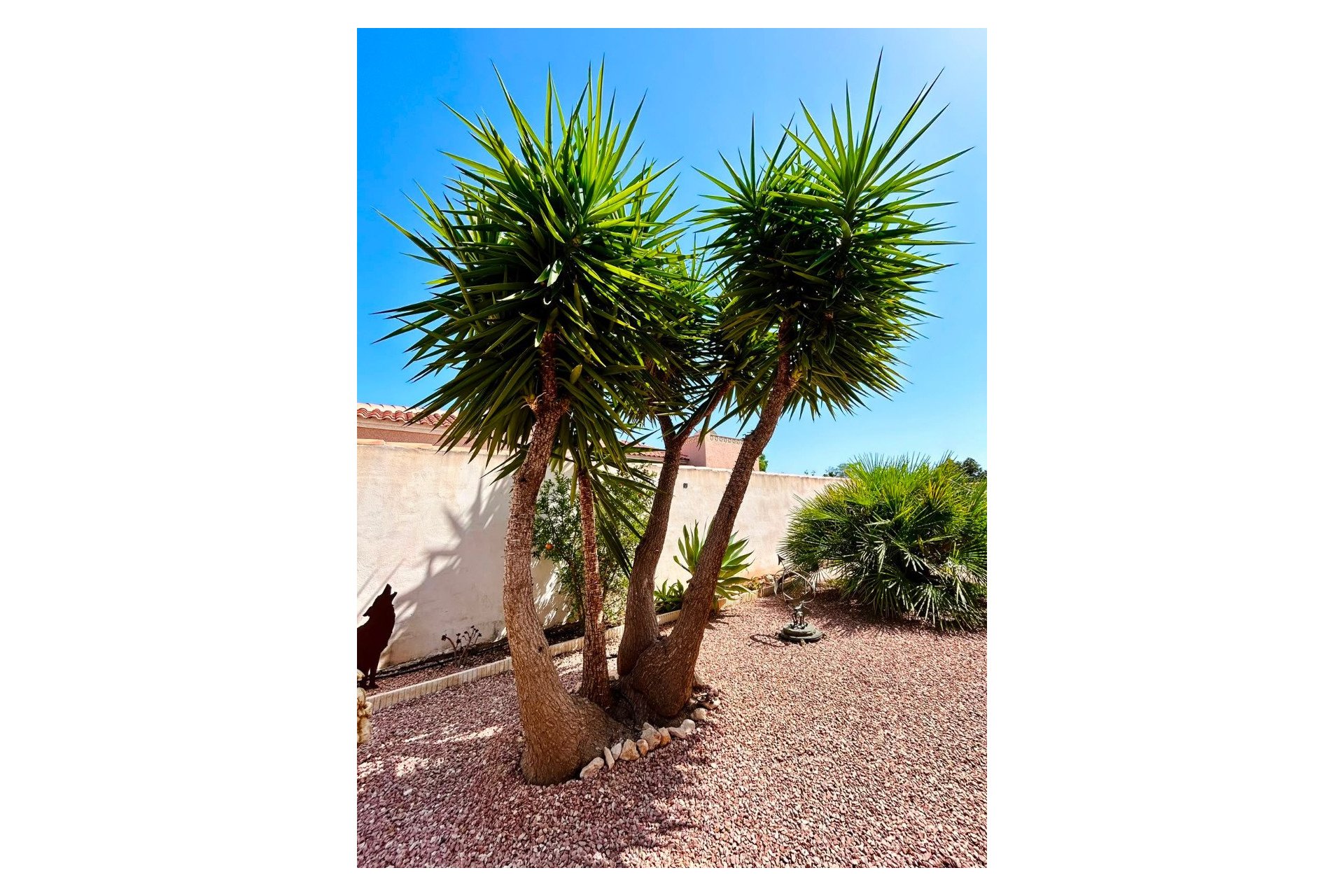 Revente - Villa -
Torrevieja - Costa Blanca