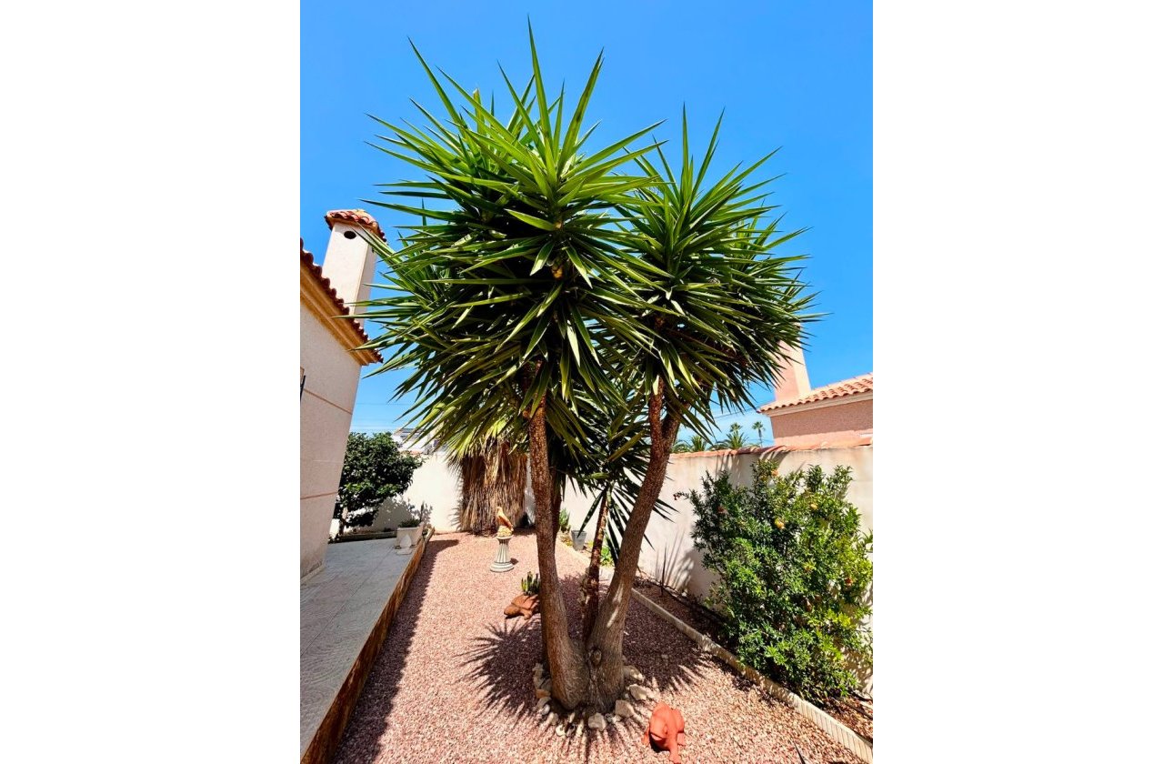 Revente - Villa -
Torrevieja - Costa Blanca