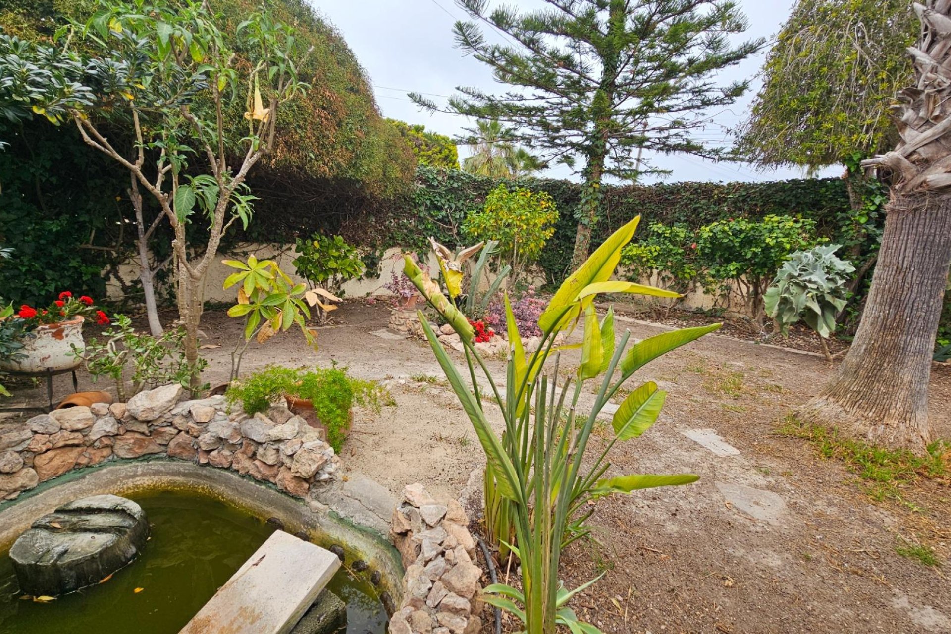 Revente - Villa -
Torrevieja - El Chaparral