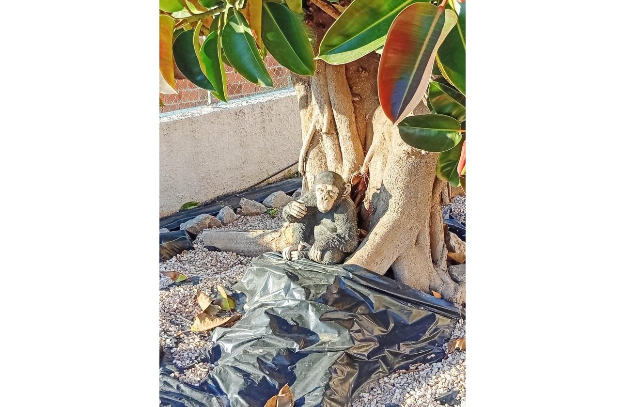 Revente - Villa -
Torrevieja - La Siesta - El Salado - Torreta