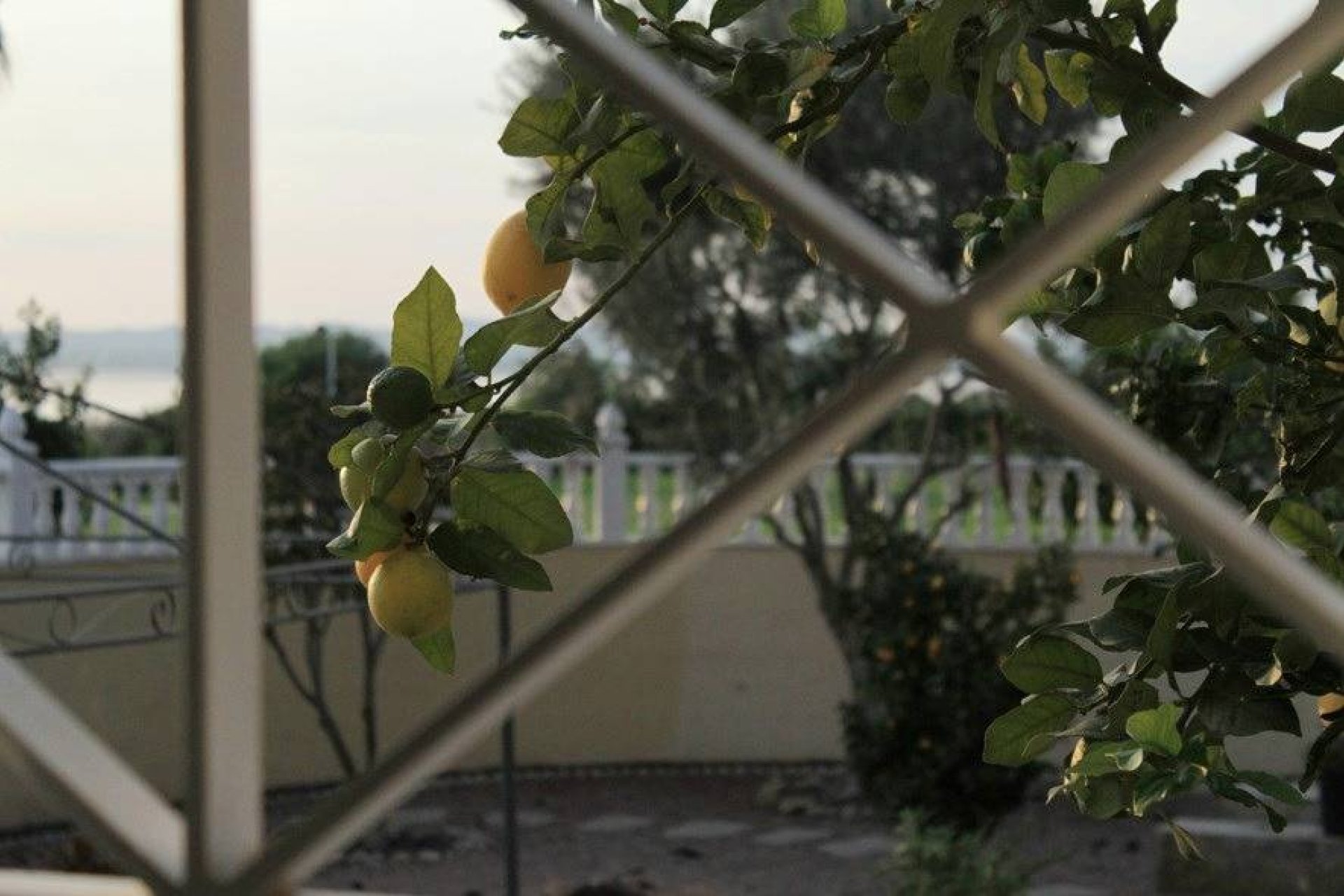 Revente - Villa -
Torrevieja - La Siesta - El Salado - Torreta