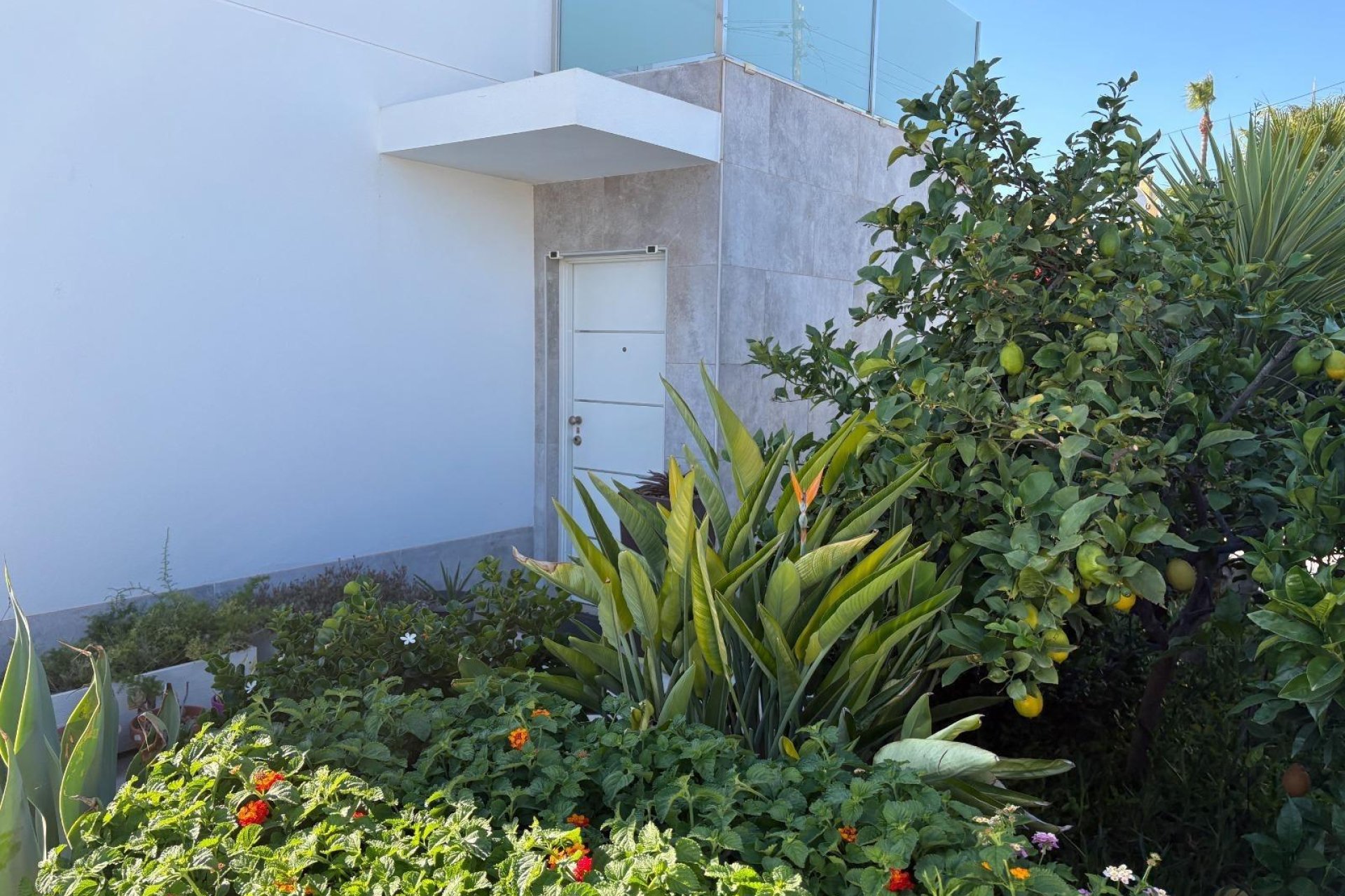 Revente - Villa -
Torrevieja - La Siesta - El Salado - Torreta