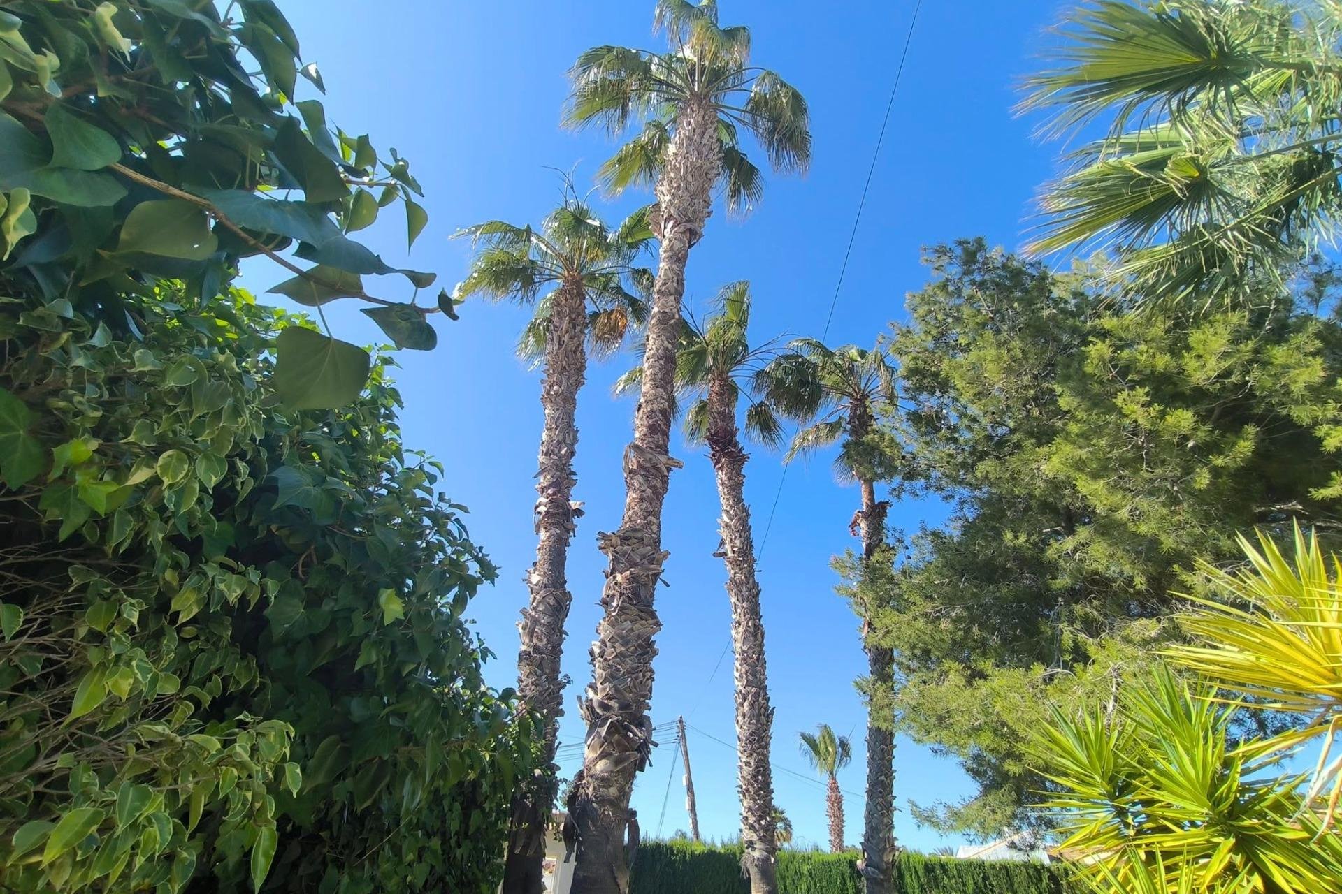 Revente - Villa -
Torrevieja - La Siesta