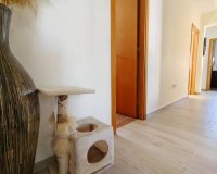 Revente - Villa -
Torrevieja - Torreta Florida