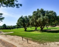 Revente - Villa -
Villamartin - Costa Blanca