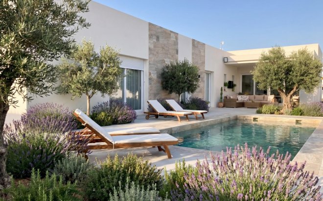 Villa - New Build - Pinoso - Casas Pastor