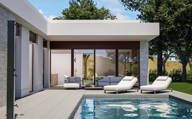 Villa - Nouvelle Construction - Pinoso - Lel