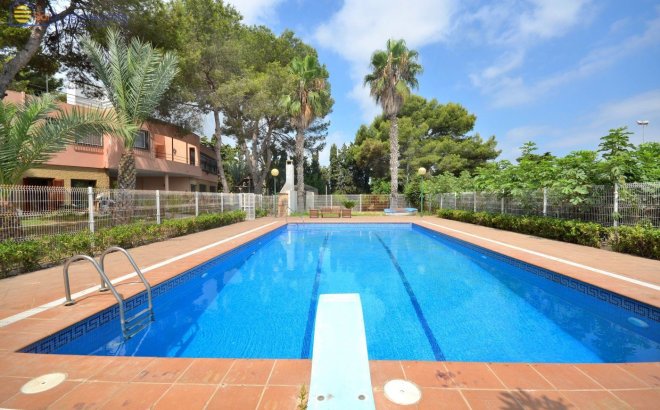 Villa - Revente -
            Torrevieja - 84420