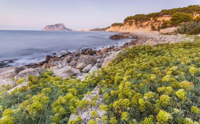 New Build - Villa -
Benissa - Cala Advocat