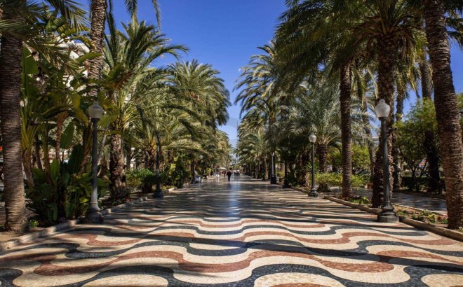 New Build - Ground floor apartment -
Alicante - Centro