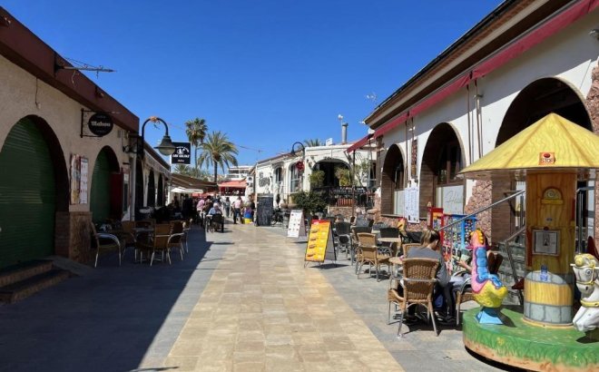 Nouvelle Construction - Villa -
Pilar de la Horadada - Riomar