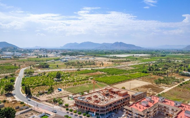 New Build - Ground floor apartment -
Jacarilla - pueblo