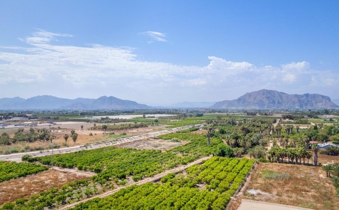 Nouvelle Construction - Appartement -
Jacarilla - pueblo