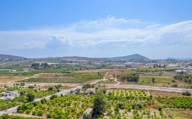 Nouvelle Construction - Appartement -
Jacarilla - pueblo