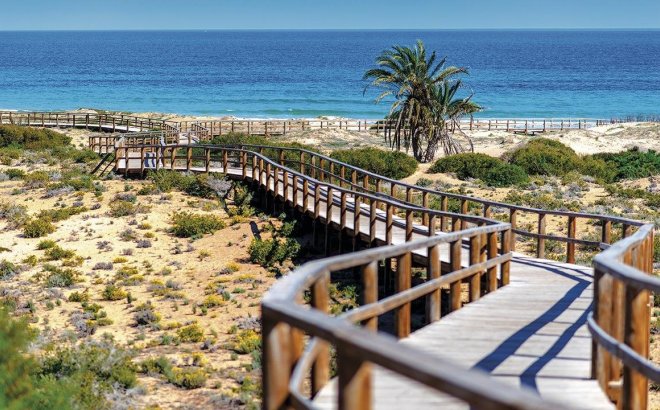 Nouvelle Construction - Ground floor apartment -
Monforte del Cid - Alenda Golf