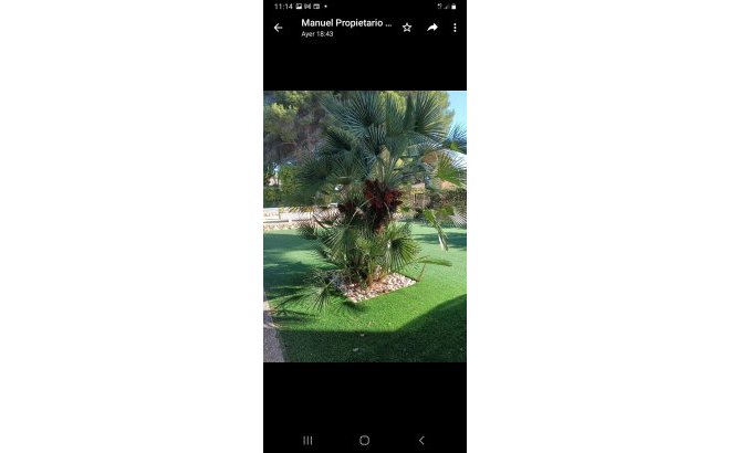 Resale - Villa -
Campoamor - Costa Blanca