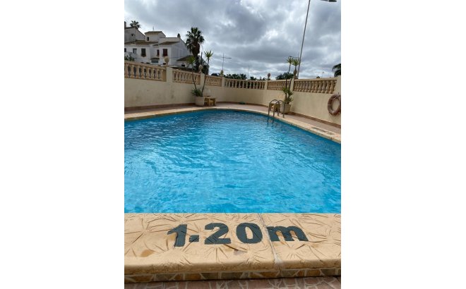 Resale - Apartment -
San Miguel de Salinas - Pueblo 9