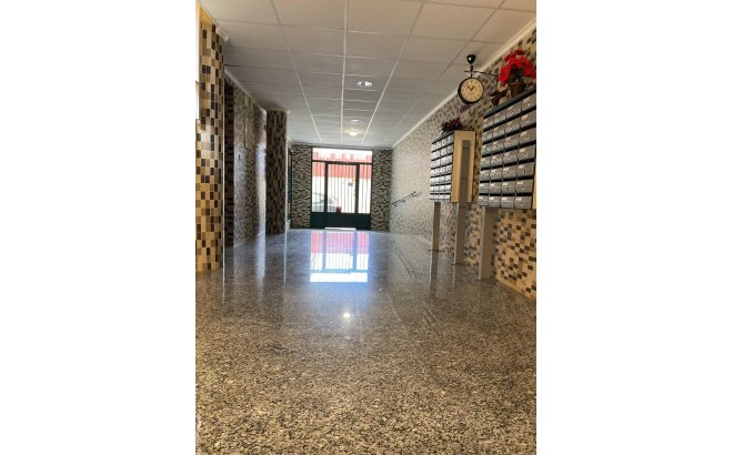 Resale - Apartment -
San Miguel de Salinas - Pueblo 9