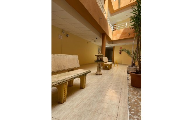 Resale - Apartment -
San Miguel de Salinas - Pueblo 9