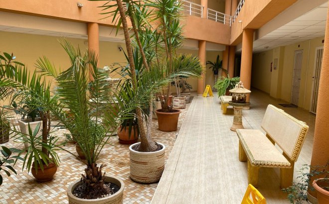 Resale - Apartment -
San Miguel de Salinas - Pueblo 9
