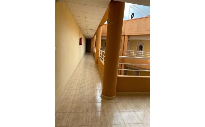 Resale - Apartment -
San Miguel de Salinas - Pueblo 9
