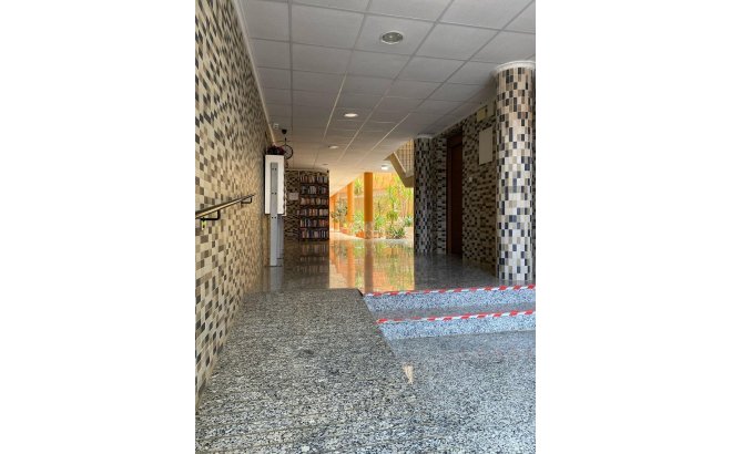 Resale - Apartment -
San Miguel de Salinas - Pueblo 9