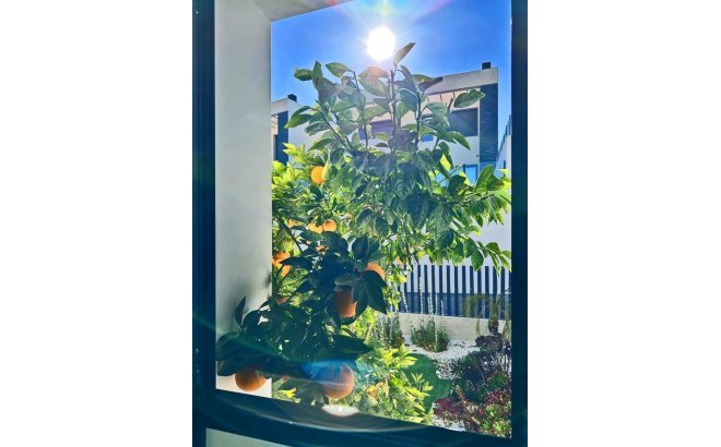 Herverkoop - Villa -
Rojales - Inland