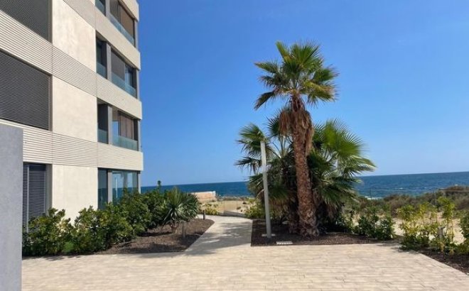 Resale - Apartment Penthouse -
Punta Prima - Costa Blanca