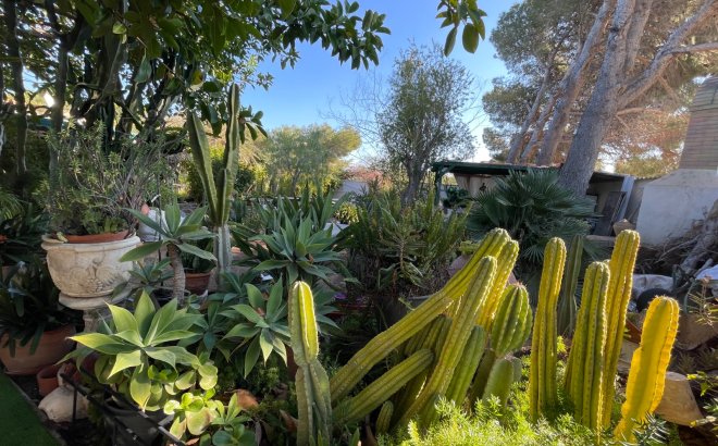 Resale - Villa -
Orihuela Costa - Costa Blanca