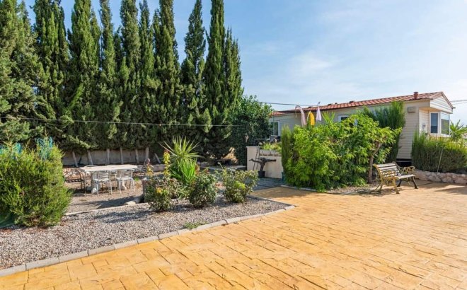 Revente - Finca -
Los Montesinos - Costa Blanca