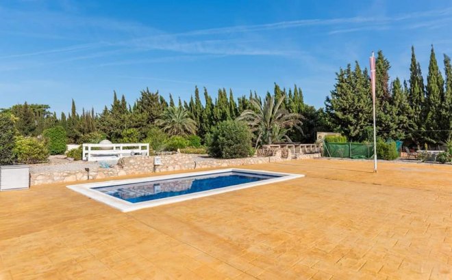 Revente - Finca -
Los Montesinos - Costa Blanca
