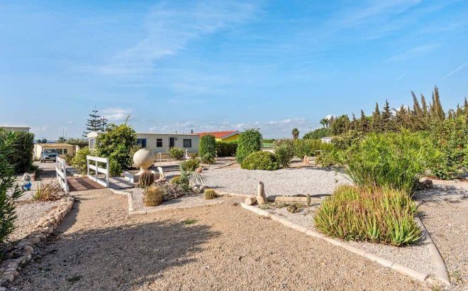 Revente - Finca -
Los Montesinos - Costa Blanca