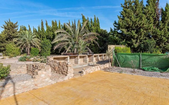 Revente - Finca -
Los Montesinos - Costa Blanca