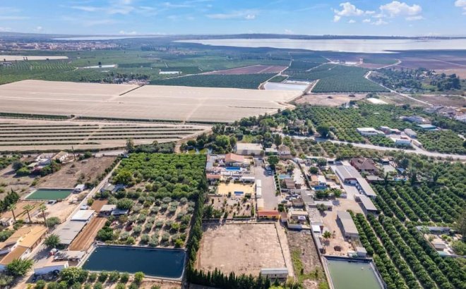 Revente - Finca -
Los Montesinos - Costa Blanca