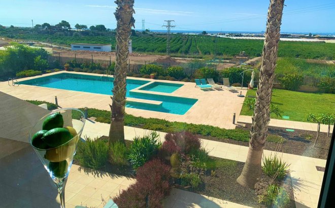 Resale - Penthouse -
Pilar de la Horadada - Costa Blanca