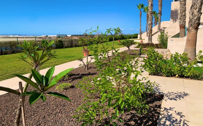 Resale - Penthouse -
Pilar de la Horadada - Costa Blanca