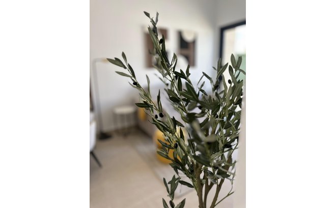 New Build - Ground Floor Bungalow -
San Fulgencio - Pueblo