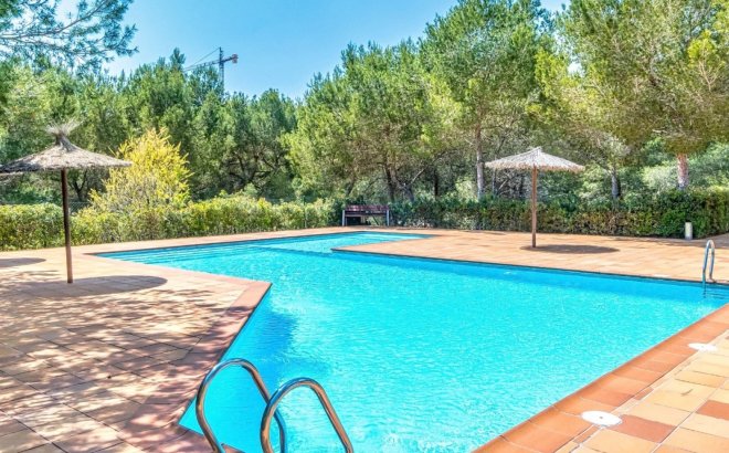 Resale - Apartment -
Orihuela Costa - Costa Blanca