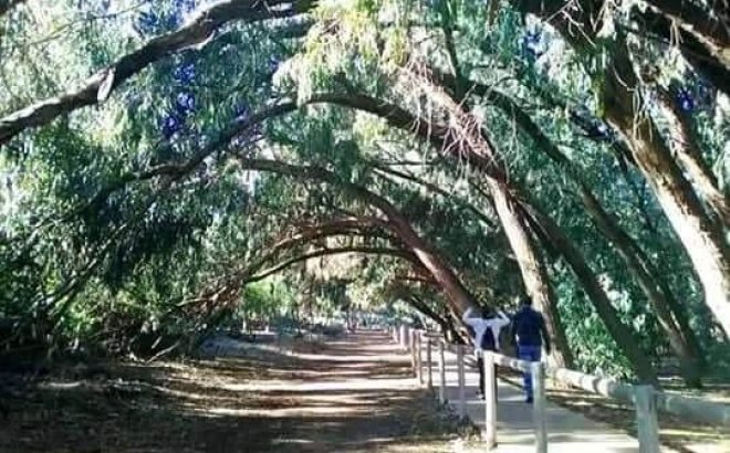 New Build - Top Floor Bungalow -
Torrevieja - Altos del Sol