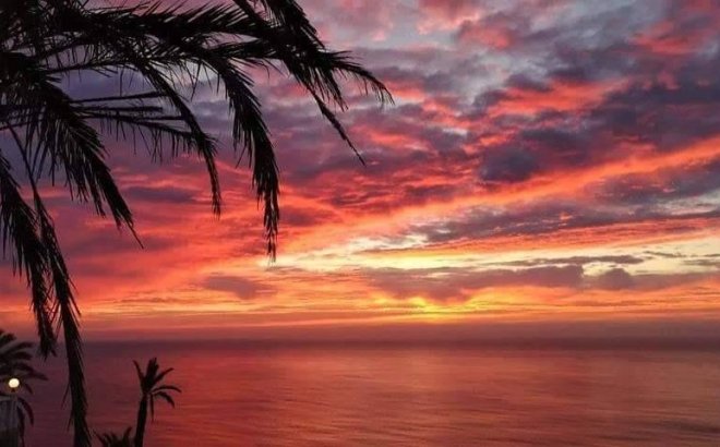 New Build - Top Floor Bungalow -
Torrevieja - Altos del Sol