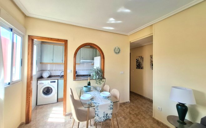Resale - Apartment -
Torrevieja - Costa Blanca